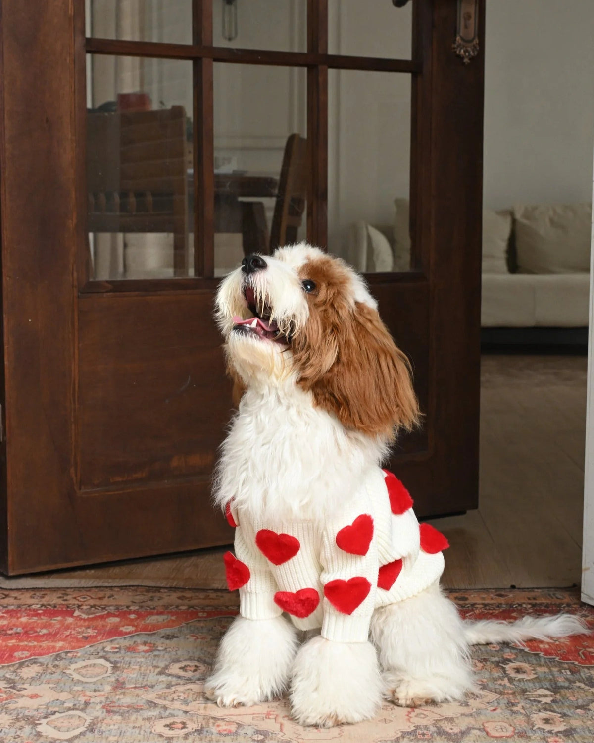 Cream Heart-3D Motif Pet Sweater