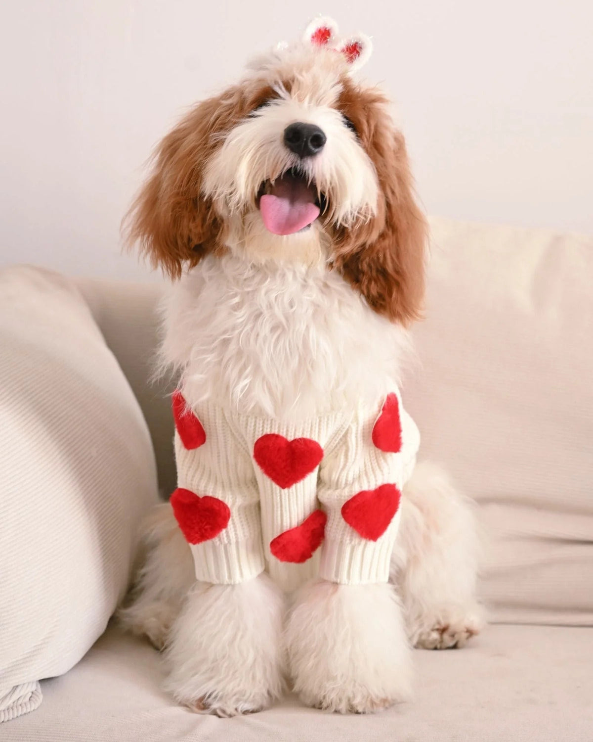 Cream Heart-3D Motif Pet Sweater