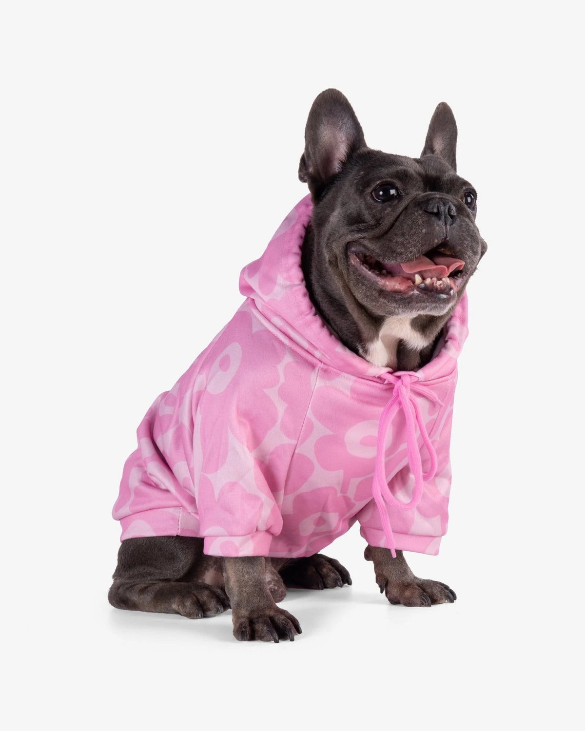 Sakura Frenchie Hoodie