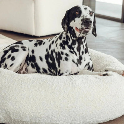 Luxury Boucle Dog Bed
