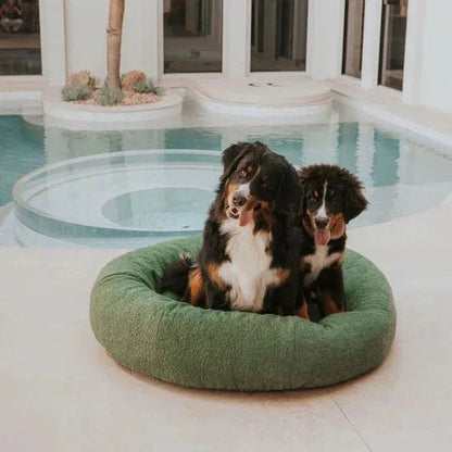 Luxury Boucle Dog Bed